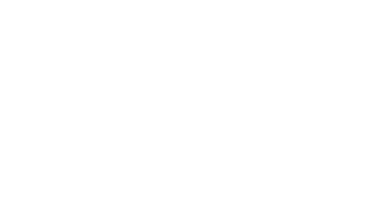 trapstar logo